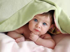 baby_terr